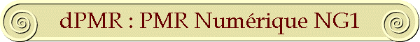 dPMR : PMR Num�rique NG1